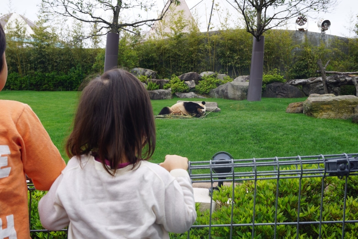 f:id:ikinoco:20190505191743j:plain f:id:ikinoco:20190505191743j:plain