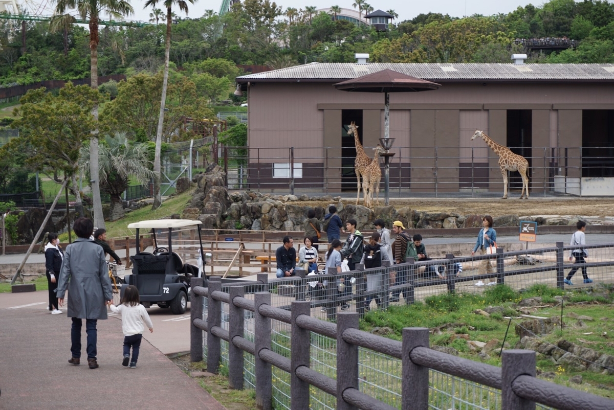 f:id:ikinoco:20190505193911j:plain f:id:ikinoco:20190505193911j:plain