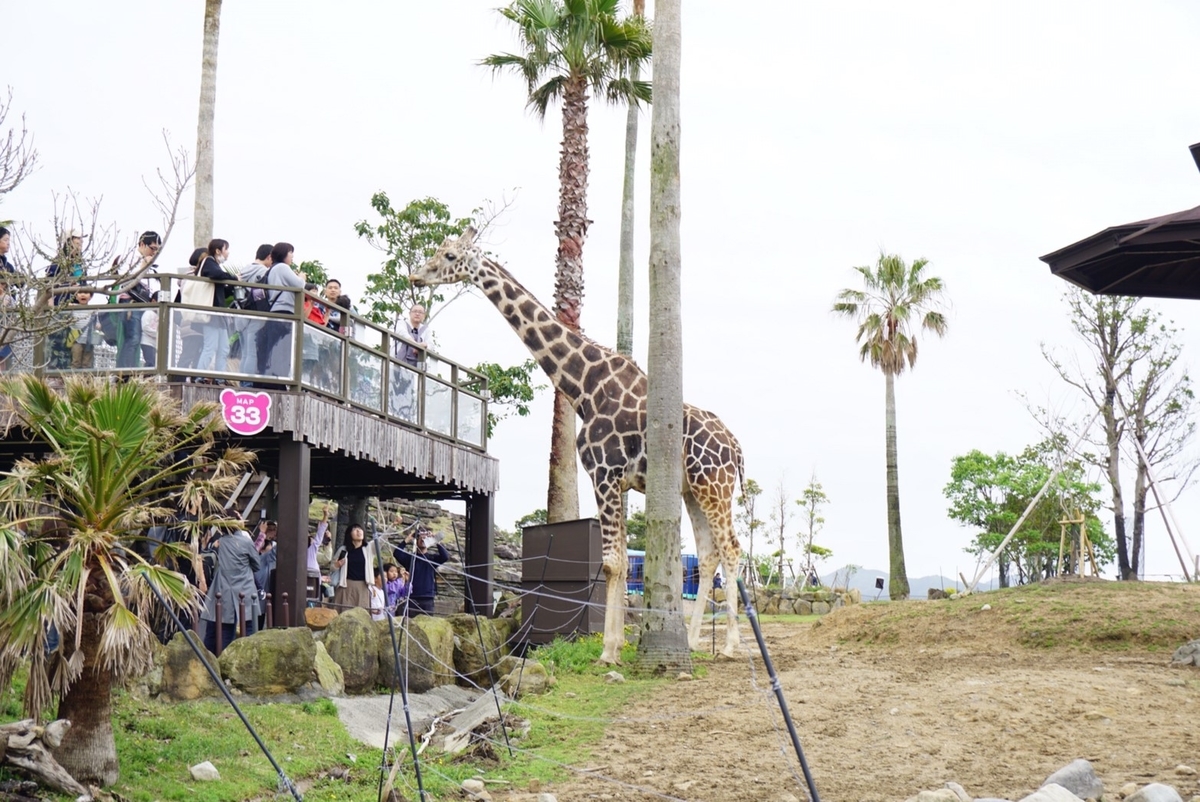 f:id:ikinoco:20190505194036j:plain f:id:ikinoco:20190505194036j:plain