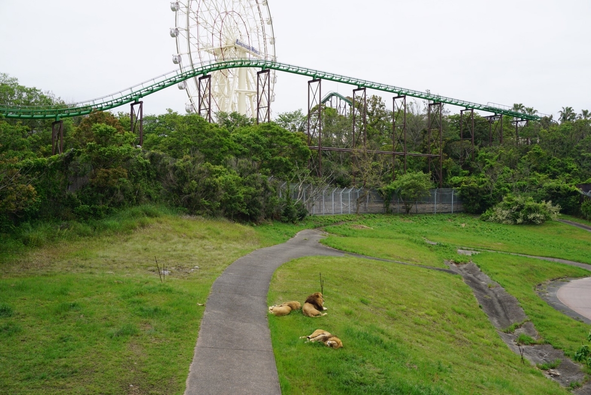 f:id:ikinoco:20190505194306j:plain f:id:ikinoco:20190505194306j:plain