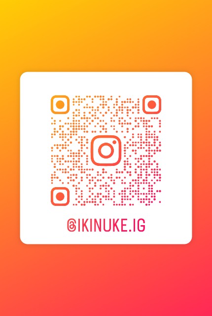 f:id:ikinuke:20240228201802j:image