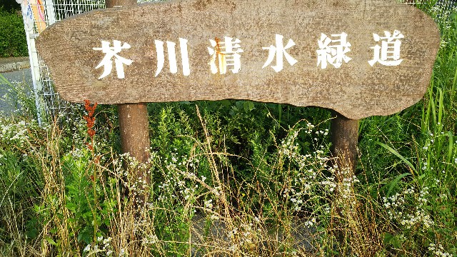 f:id:ikioi99:20170623085040j:image
