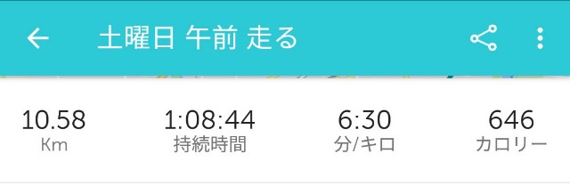 f:id:ikioi99:20170625081037j:plain