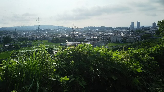 f:id:ikioi99:20170702101042j:image f:id:ikioi99:20170702101042j:image