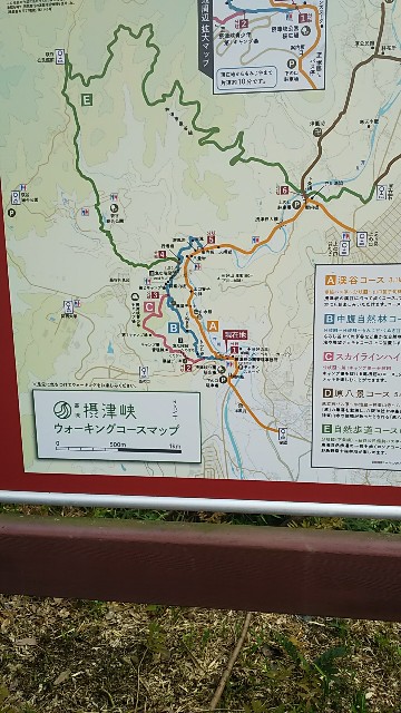 f:id:ikioi99:20170731083529j:image