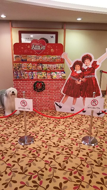 f:id:ikioi99:20170815102936j:image
