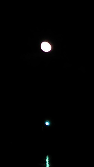f:id:ikioi99:20171010111544j:image f:id:ikioi99:20171010111544j:image