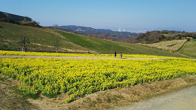 f:id:ikioi99:20180409205909j:image f:id:ikioi99:20180409205909j:image