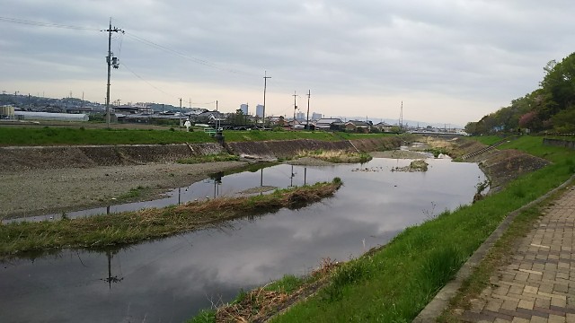 f:id:ikioi99:20180411095344j:image