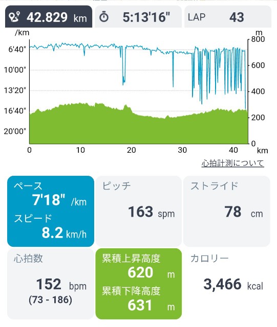 f:id:ikioi99:20181108114432j:plain