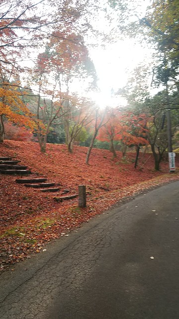 f:id:ikioi99:20181203112522j:image