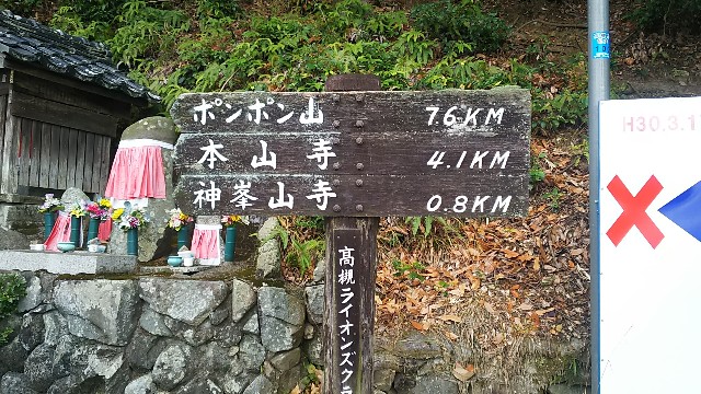 f:id:ikioi99:20181231101927j:image