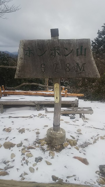 f:id:ikioi99:20190126163435j:image