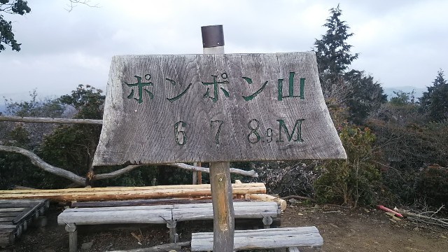 f:id:ikioi99:20190220085622j:image