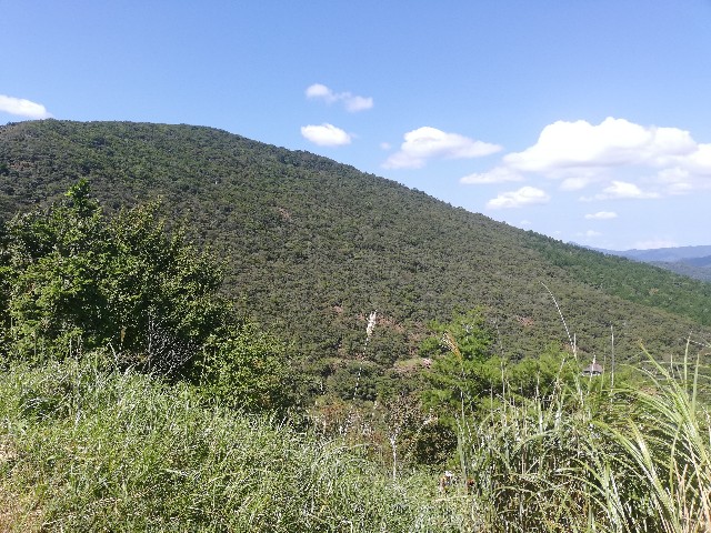 f:id:ikioi99:20190926100915j:plain