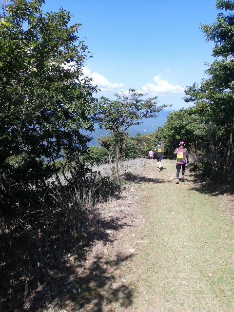 f:id:ikioi99:20190926101050j:plain