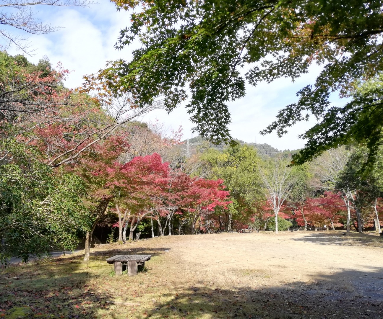 f:id:ikioi99:20191119105812j:image