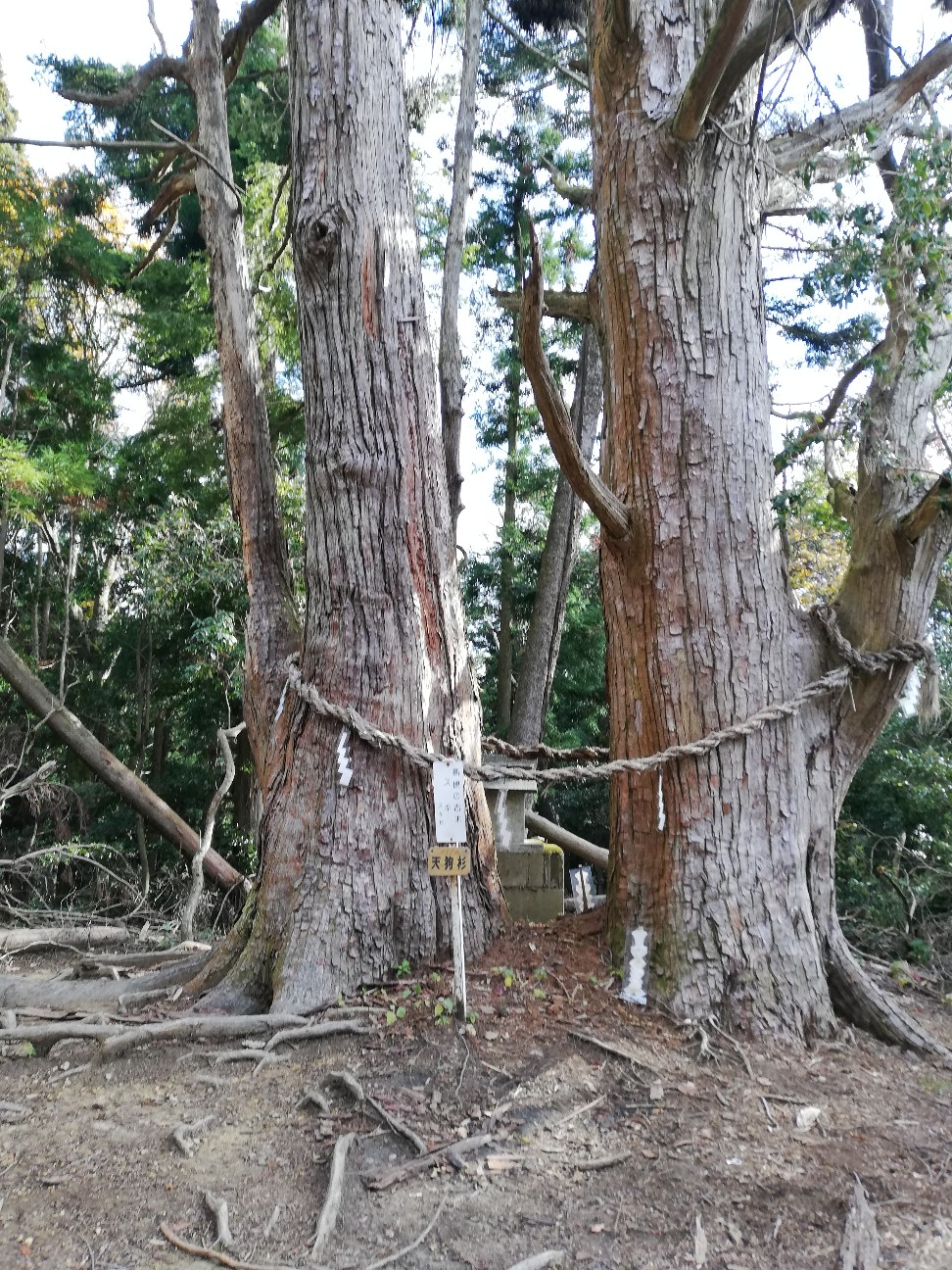 f:id:ikioi99:20191119110214j:image