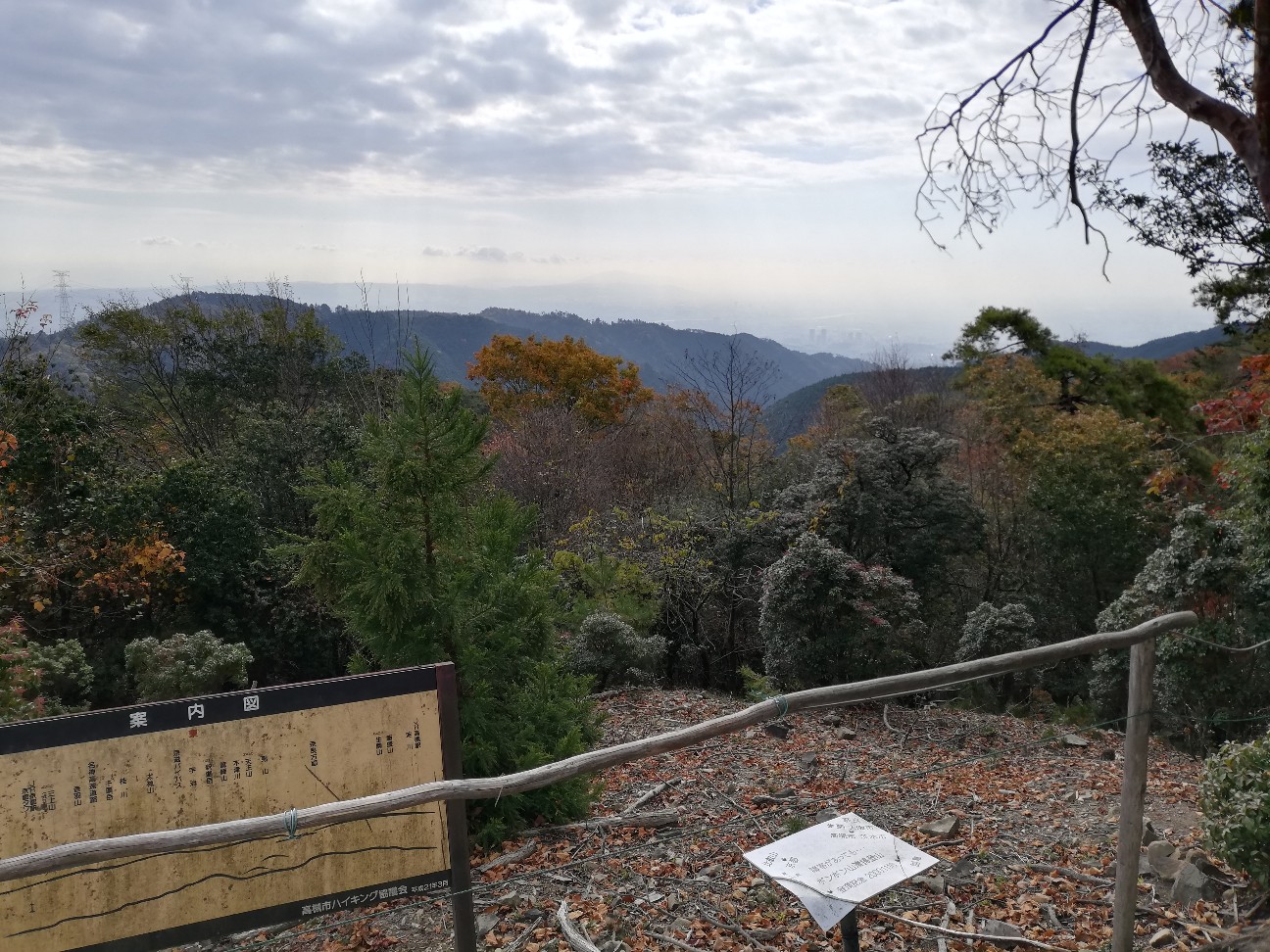 f:id:ikioi99:20191119110237j:image