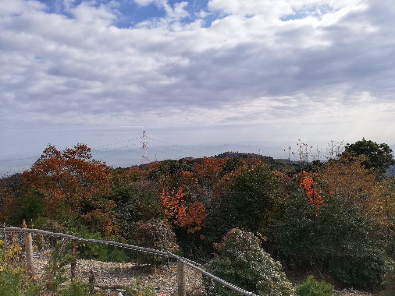 f:id:ikioi99:20191119110300j:image