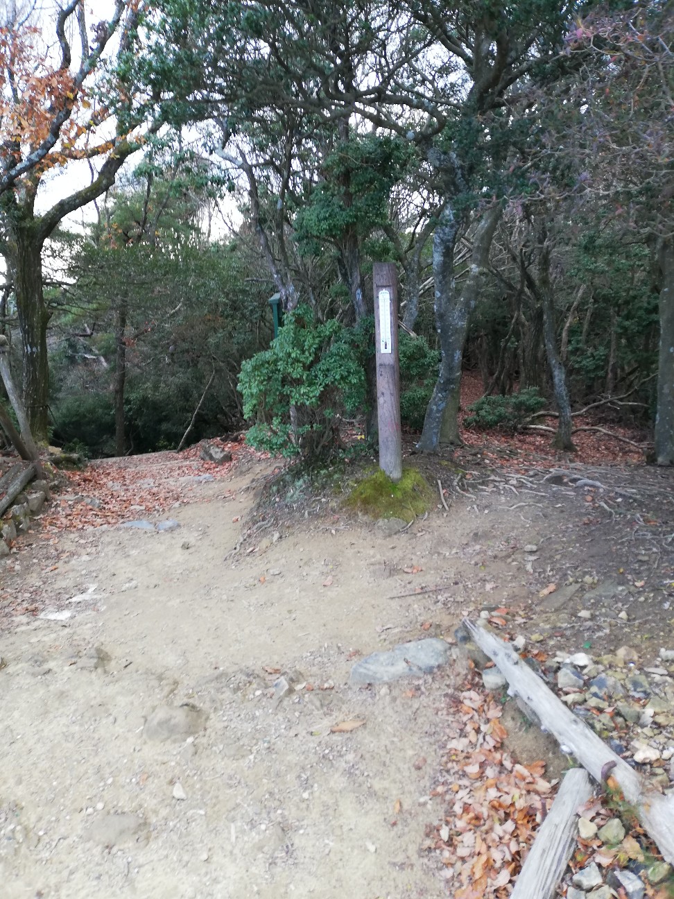 f:id:ikioi99:20191205101546j:plain