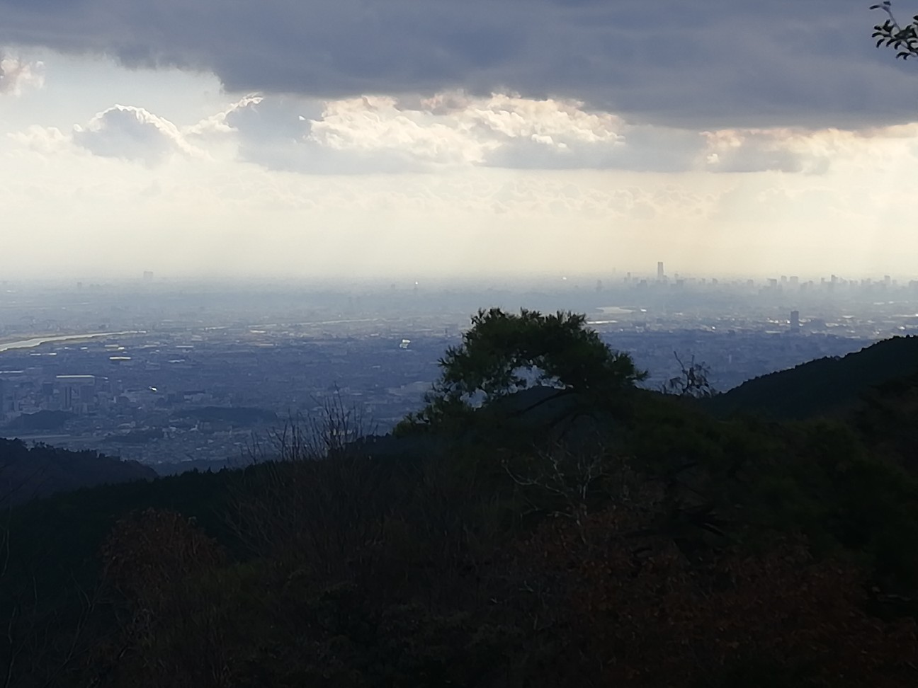 f:id:ikioi99:20191205101715j:plain