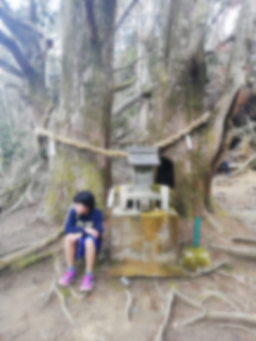 f:id:ikioi99:20200323084416j:plain:w400