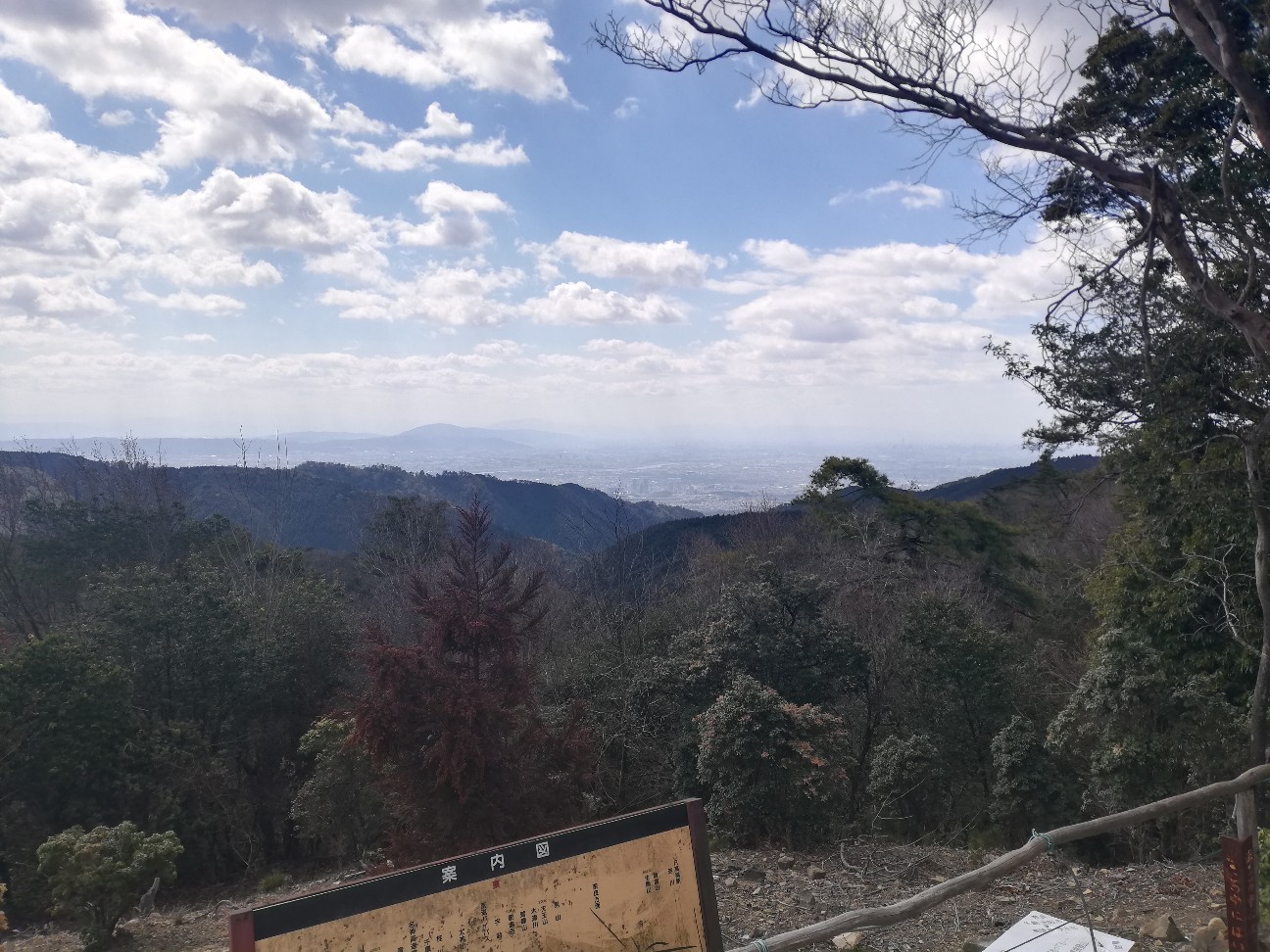 f:id:ikioi99:20200323084630j:plain:w400