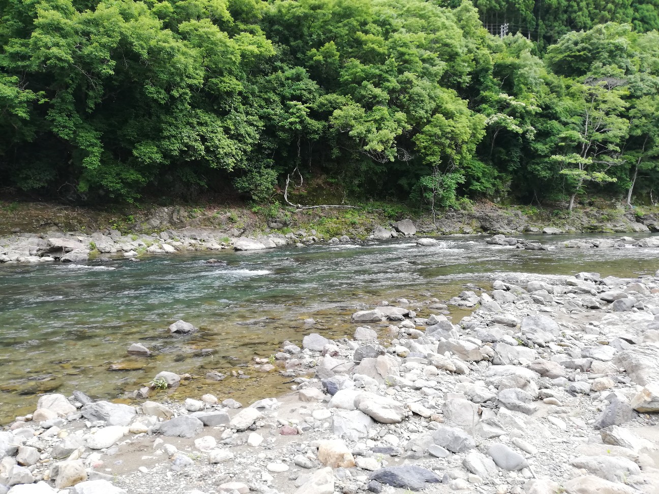 f:id:ikioi99:20200702080932j:plain:w300