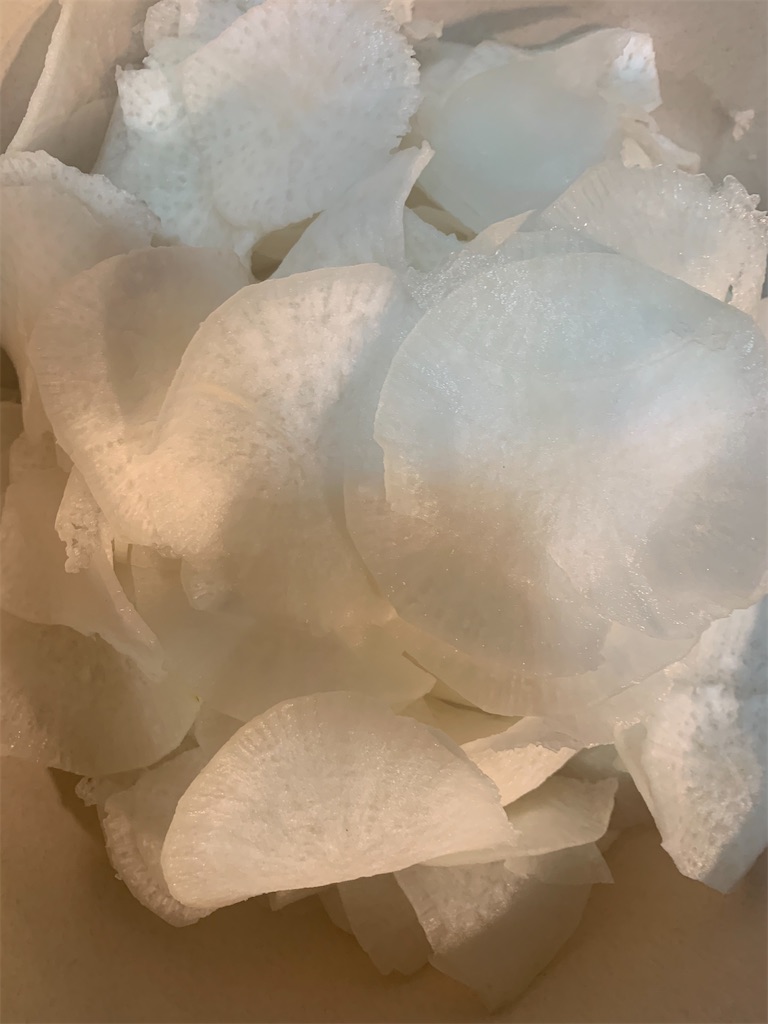 f:id:ikiruikeru43:20201207223252j:plain