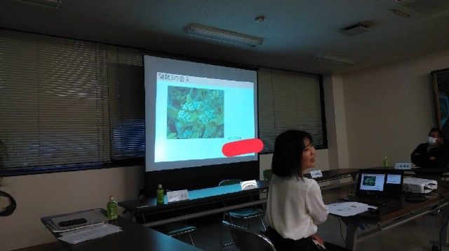 f:id:ikkakinokinoha0401:20211227002011j:image f:id:ikkakinokinoha0401:20211227002011j:image