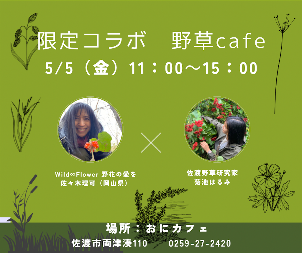 f:id:ikkakinokinoha0401:20230512225525p:image f:id:ikkakinokinoha0401:20230512225525p:image