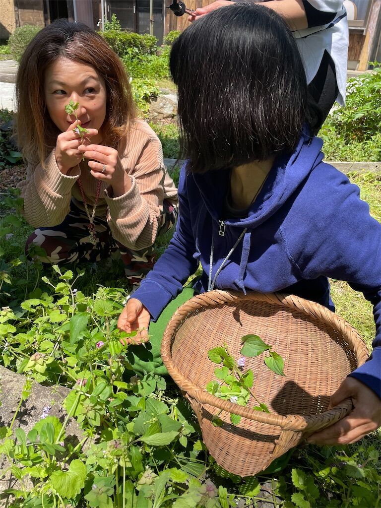 f:id:ikkakinokinoha0401:20230512230820j:image f:id:ikkakinokinoha0401:20230512230820j:image