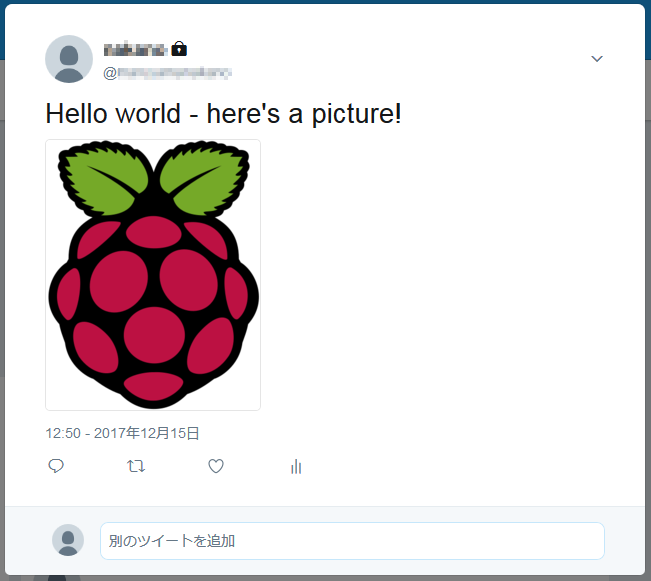 raspberrypi67_img04