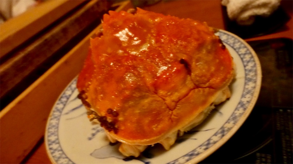 f:id:ikkoshinagawa:20190116072435j:image