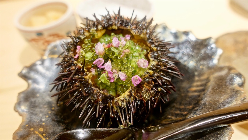 f:id:ikkoshinagawa:20200609232750j:image