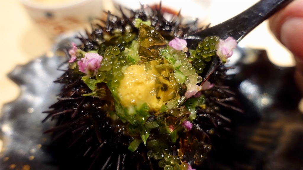 f:id:ikkoshinagawa:20200609232801j:image