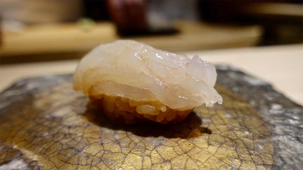 f:id:ikkoshinagawa:20200609233034j:image