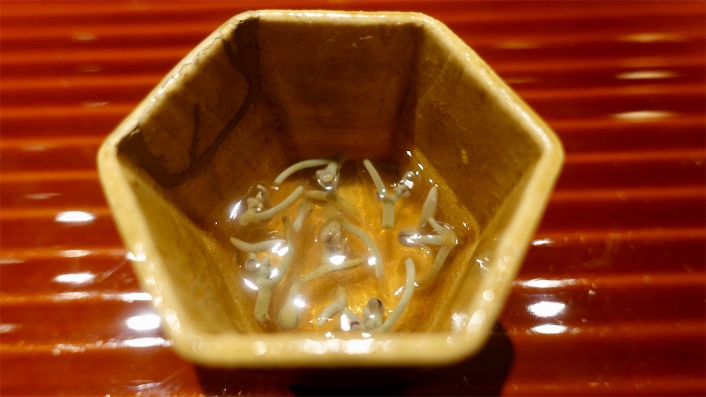 f:id:ikkoshinagawa:20200616235239j:image