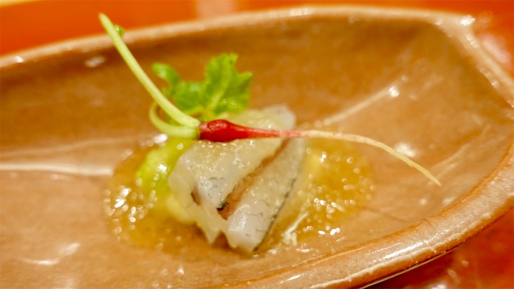 f:id:ikkoshinagawa:20201215225342j:image