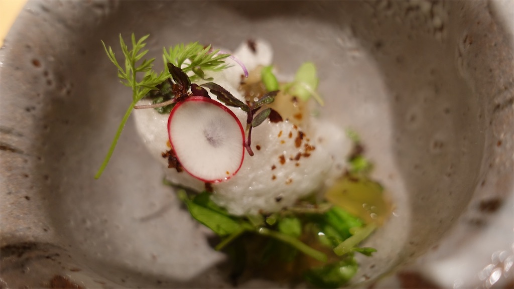 f:id:ikkoshinagawa:20210614233607j:image