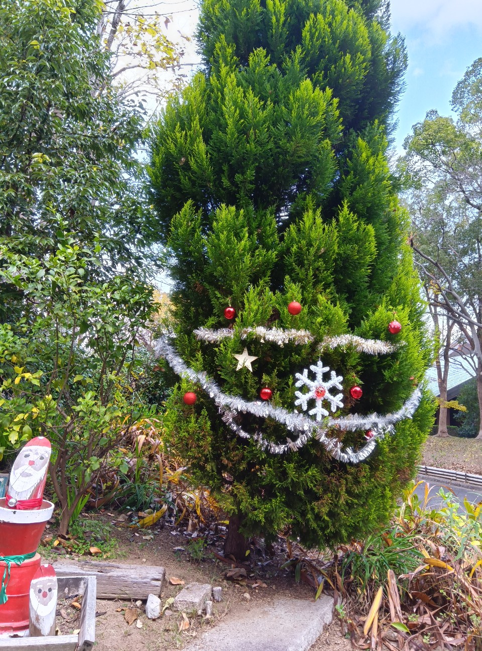 f:id:ikkotokotoko:20251209211905j:image