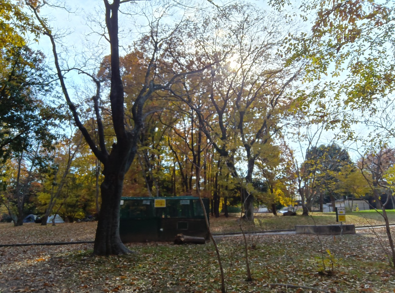 f:id:ikkotokotoko:20251211152056j:image