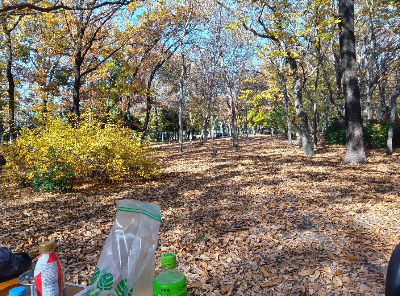 f:id:ikkotokotoko:20251211152137j:image