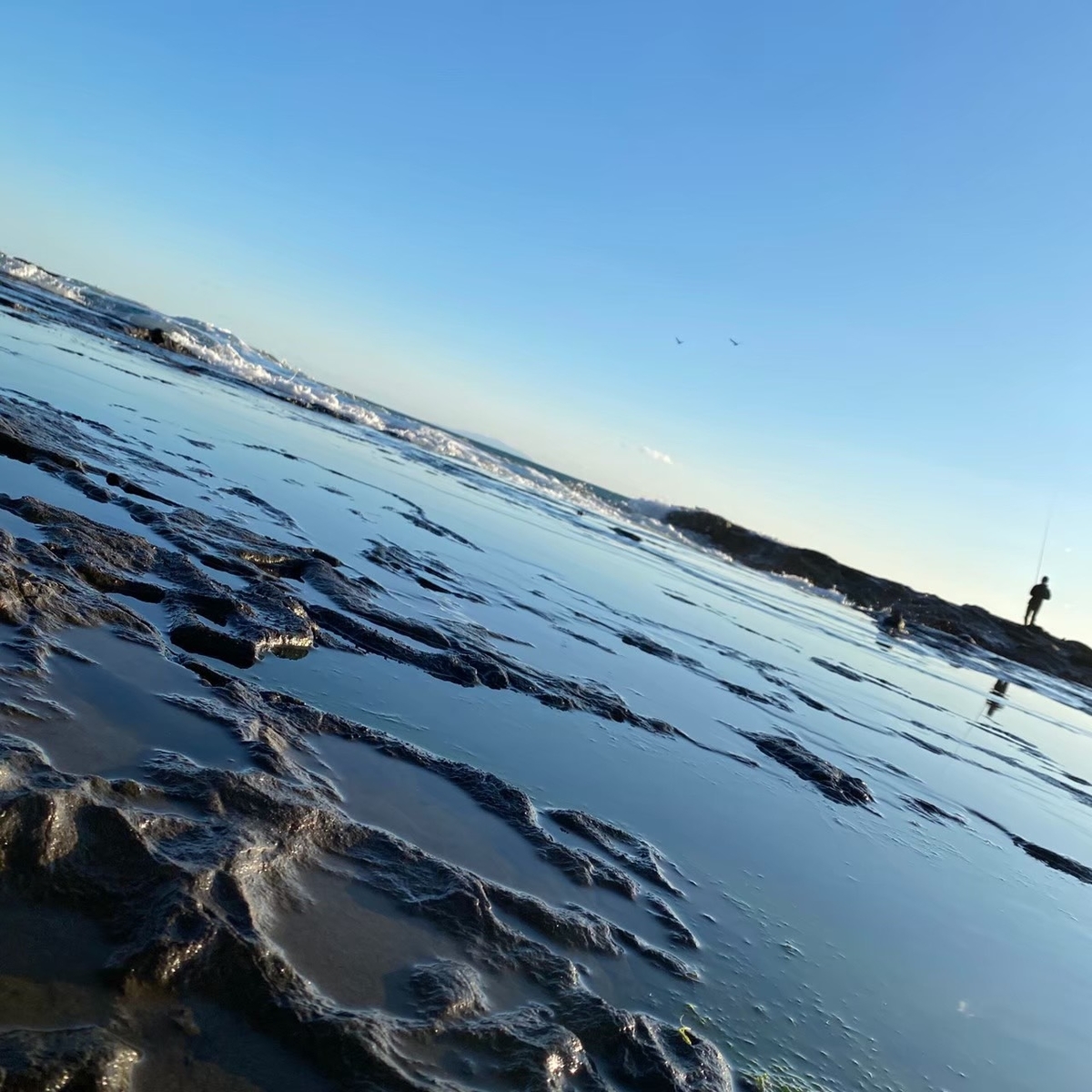 f:id:ikkyo:20210217114345j:plain