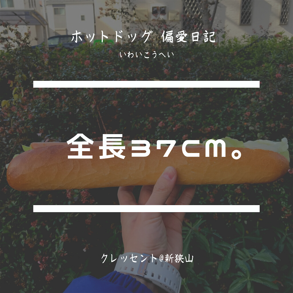 f:id:iko10151:20201207065401p:image