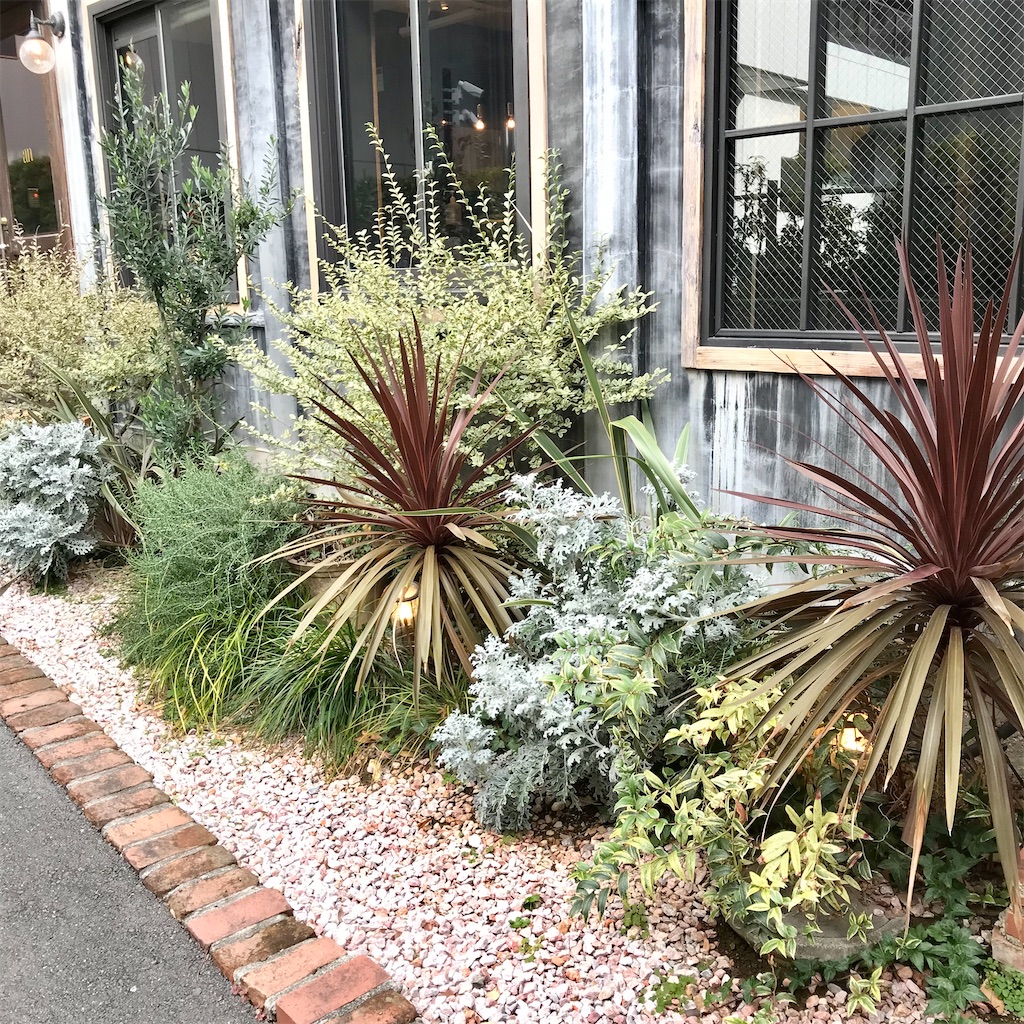 f:id:iko10151:20240124150459j:image