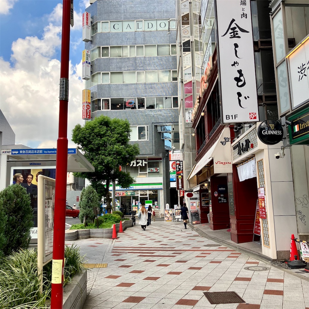 f:id:iko10151:20240910124631j:image
