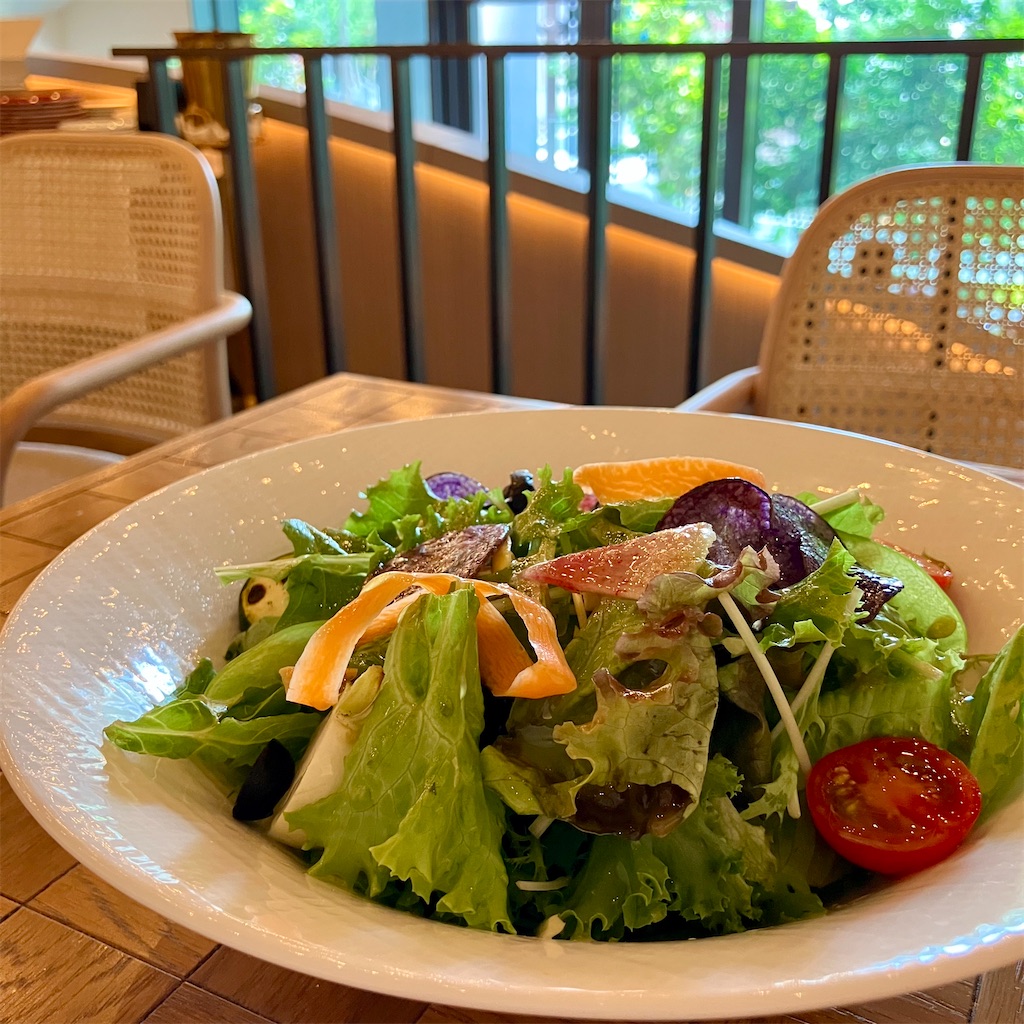 f:id:iko10151:20250821121902j:image f:id:iko10151:20250821121902j:image