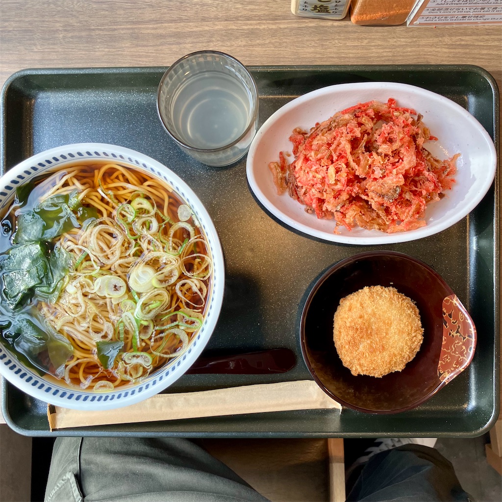 f:id:iko10151:20251119113833j:image